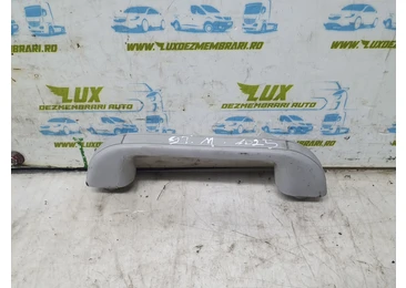 Maner plafon Fiat Ducato 2 Typ244 (2002 - 2006) 2.0 jtd RHX DW10TD
