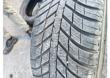 Anvelopa 225/50/R17 Nexen Iarna Ford Focus 3 (2011 - 2015) - miniatura 3