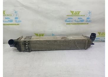 Radiator intercooler 144960001r Renault Laguna 3 (facelift) (2011 - 2015) 2.0 dci M9R854 M9R854