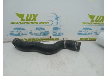 Furtun apa Peugeot 407 1 (2004 - 2010) DW10BTED4