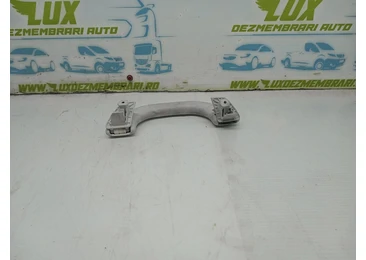 Maner plafon 1k0857607h Volkswagen Golf 5 (2003 - 2009) CAXA