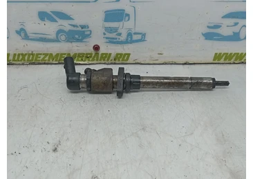 Injector 9660334880 Peugeot 407 1 (2004 - 2010) DW10BTED4