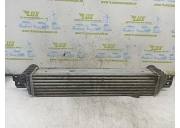Radiator intercooler Chevrolet Captiva 1 (2006 - 2011) 2.0 vcdi LLW Z20S 2.0 vcdi LLW Z20S