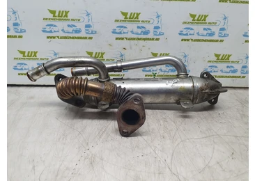Racitor gaze EGR 038131513s Audi A4 B7 (2004 - 2008) 2.0 tdi BPW 2.0 tdi BPW