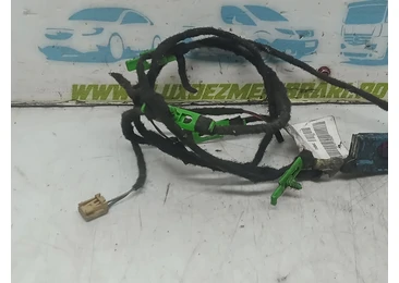 Cablaj electric usa fata stanga 4f1971036e Audi A6 4F/C6 (2004 - 2008)