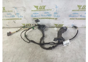 Cablaj electric usa spate stanga 3g0971693f Volkswagen Passat B8 (2014 - 2020) 2.0 tdi CRLB CRLB