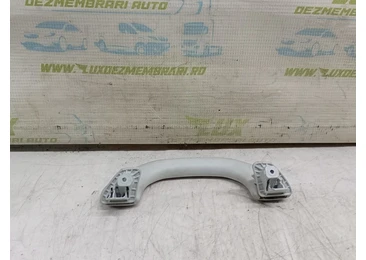 Maner plafon 1k0857607m Volkswagen Golf 6 (2008 - 2015) 1.6 tdi CAYC CAYC