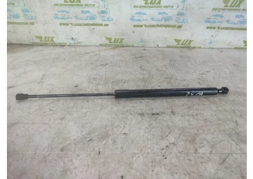 Amortizor haion Dacia Lodgy 1 (2013 - 2020) 1.5 dci K9K846 1.5 dci K9K846