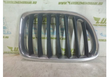 Grila bara fata BMW X1 E84 (2009 - 2012) 2.0 N47D20O1 2.0 N47D20O1
