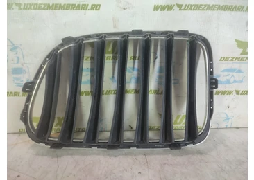 Grila bara fata BMW X1 E84 (2009 - 2012) 2.0 N47D20O1 2.0 N47D20O1