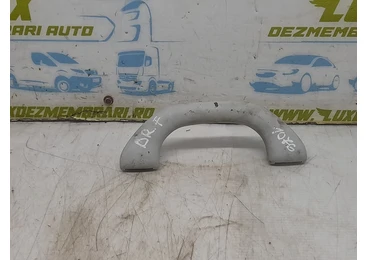 Maner plafon 1k0857607m Volkswagen Golf 6 (2008 - 2015) 1.6 tdi  CAYC CAYC
