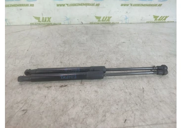 Amortizor capota BMW X1 E84 (2009 - 2012) N47D20O1