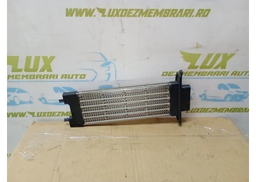 Radiator electric bord Volkswagen Touran 1 (facelift) (2006 - 2010) - miniatura 2