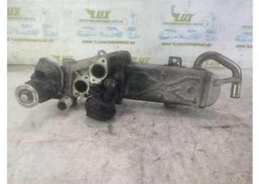 Racitor gaze EGR 424447041 Volkswagen Passat CC 1 (facelift) (2012 - 2017) CFFB