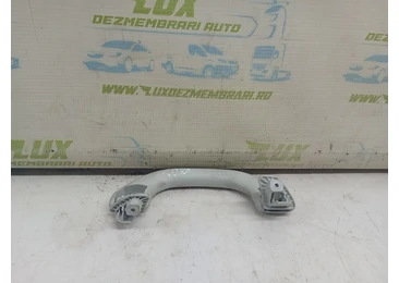 Maner plafon 1k0857607M Volkswagen Golf 6 (2008 - 2015) CBDC