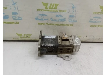 Racitor gaze EGR v29004027 Ford Focus 3 (2011 - 2015) 2.0 tdci UFDB UFDB