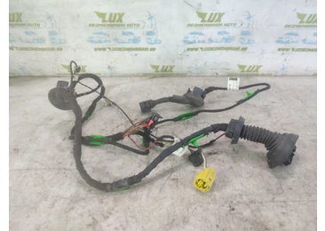 Cablaj electric usa fata stanga 4f1971030ad Audi A6 4F/C6 (2004 - 2008) 2.7 tdi BPP 2.7 tdi BPP BPP