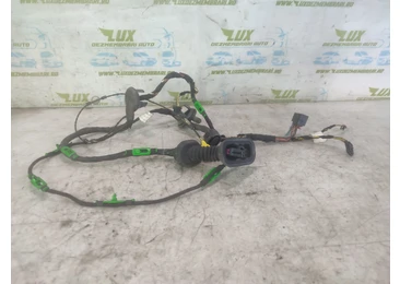 Cablaj electric usa fata stanga 4f1971029ad Audi A6 4F/C6 (2004 - 2008) 2.7 tdi BPP 2.7 tdi BPP BPP
