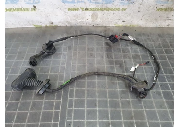 Cablaj electric usa spate stanga 4f1971687n Audi A6 4F/C6 (2004 - 2008) BPP