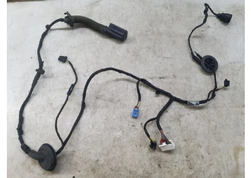 Cablaj electric usa fata stanga 8w0971029af Audi A4 B9 (2015 - 2020) 2.0 tdi DETB 2.0 tdi DETB DETB