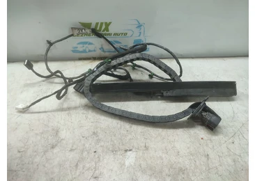 Cablaj electric usa spate dreapta Dv6t-14a390-ab Ford Tourneo Connect 2 (2013 - 2020) TZGA