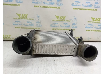 Radiator intercooler 3B0145805d Volkswagen Passat B5.5 (facelift) (2000 - 2005) AVB