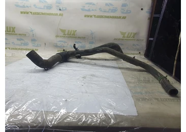 Conducta apa Renault Laguna 1 (facelift) (1998 - 2001) K4M720