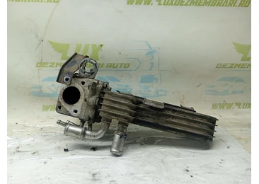 Racitor gaze EGR 038131513D Volkswagen Touran 1 (2003 - 2006) 1.9 tdi AVQ