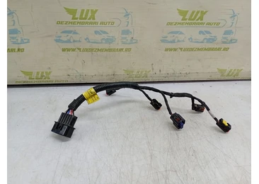 Instalatie Injector Hyundai Ioniq AE (facelift) (2019 - 2023) 1.6 gdi Hybrid G4LE