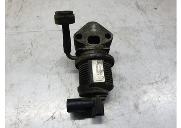 EGR 728248170 Volkswagen Golf 4 (1997 - 2006)