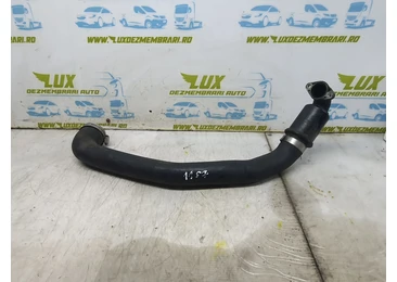 Furtun intercooler Ford Grand C-Max 1 (2010 - 2015)