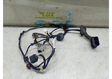 Cablaj electric usa fata stanga Ford Mondeo MK4 (2007 - 2010) 2.0 tdci 2.0 tdci qxba