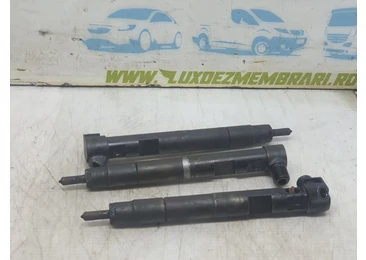 Injector A6510704987 Mercedes Benz E-Class W212 (2009 - 2013)
