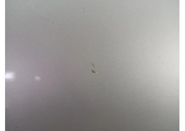 Usa dreapta spate Volkswagen Golf 4 (1997 - 2006) - miniatura 4
