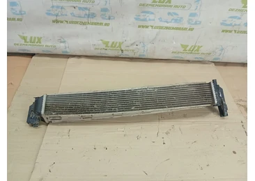 Radiator intercooler Volkswagen Polo 5 (6R) (facelift) (2014 - 2018) CUSB