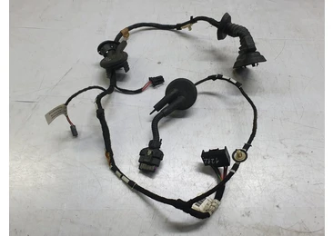 Cablaj electric usa spate stanga Audi A6 4F/C6 (facelift) (2008 - 2011) 2.0 tdi CAHA