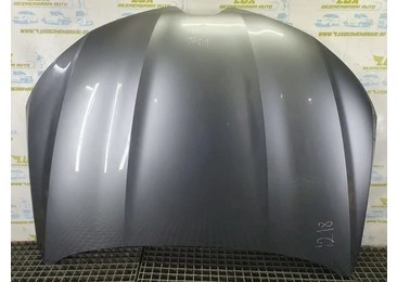 Capota motor Renault Arkana 1 (2019 - 2020) 1.3 tce 1.3 tce H5H490