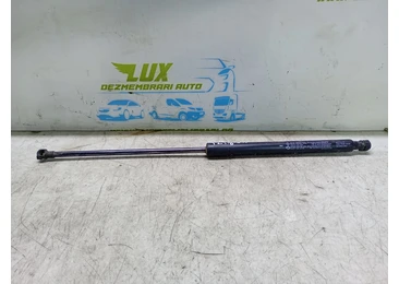 Amortizor haion 904520237r Renault Arkana 1 (2019 - 2020) 1.3 tce 1.3 tce H5H490
