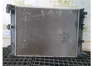 Radiator apa 214107838r Renault Arkana 1 (2019 - 2020) 1.3 tce 1.3 tce H5H490