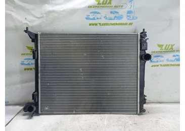 Radiator apa Renault Talisman 1 (2012 - 2020) 1.6 dci 1.6 dci R9M409