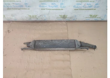 Radiator intercooler Fiat Linea 1 (2006 - 2012) 1.3 MultiJet 1.3 MultiJet 199a3000