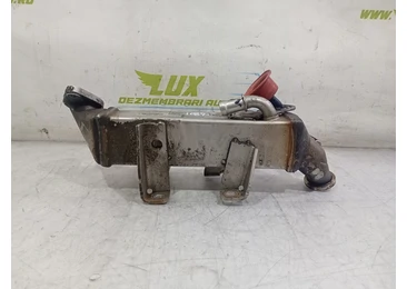 Racitor gaze EGR 8200719993 Renault Laguna 3 (facelift) (2011 - 2015) 2.0 dci M9R854 2.0 dci M9R854 M9R854