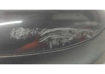 Oglinda stanga E9014133 Alfa Romeo 147 1 (facelift) (2004 - 2010)