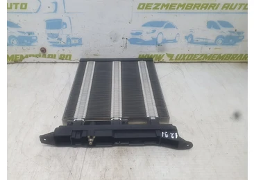 Radiator electric bord 1k0963235F Volkswagen Passat B6 (2005 - 2010) 1.6 tdi CAYC