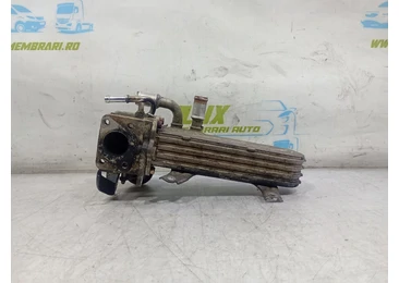 Racitor gaze EGR 038131513ad Volkswagen Golf Plus 1 (2004 - 2009) 1.9 tdi 1.9 tdi BRU