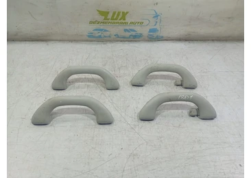 Maner plafon Volkswagen Passat B7 (2010 - 2015) CFFB