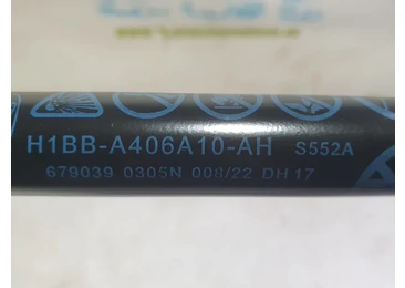 Amortizor haion h1bb-a406a10-ah Ford Fiesta 7 (2017 - 2020) - miniatura 3