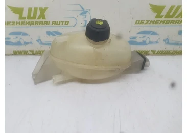 Vas expansiune 217100015R Renault Trafic 2 (facelift) (2006 - 2015) 2.0 dci M9R692