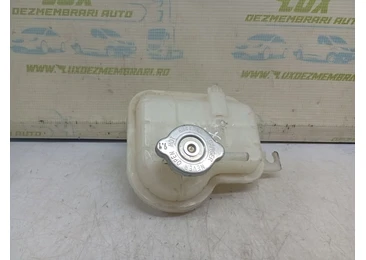 Vas expansiune 217104297R Dacia Spring 1 (2021 - 2023) electric electric 4DB401