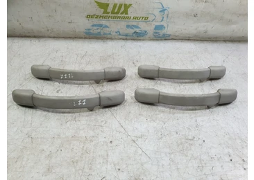 Maner plafon C-1f3J Citroen C3 1 (2002 - 2010) 1.6 hdi 9hz